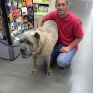 Meet your Posher, Gary